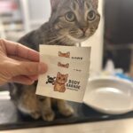 試作のステッカーが届きました