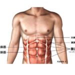 色んな腹筋マシンの紹介