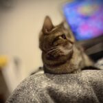 気配りの出来る家族