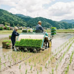 5月末までご予約可能ですが